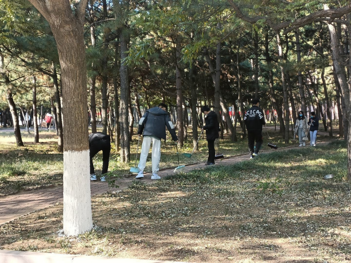 伟德BETVLCTOR1946官网